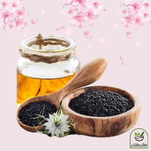 وبلاگ خواص دوسین