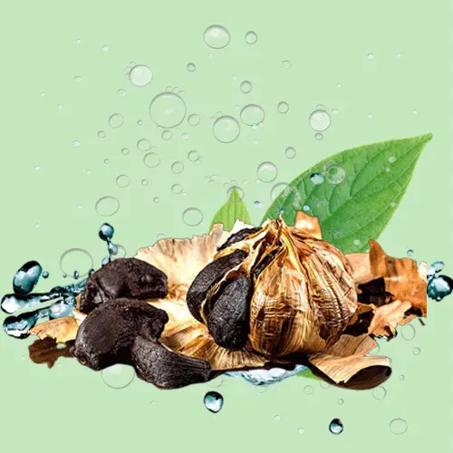 خواص سیر سیاه