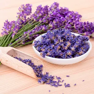 اسطوخودوس داخل ظرف