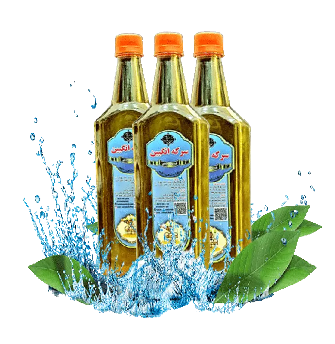 بنر تخفیف ویژه