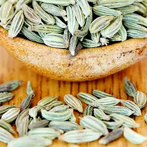 رازیانه