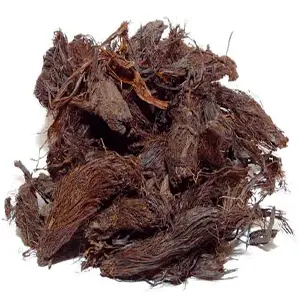 سنبل الطیب