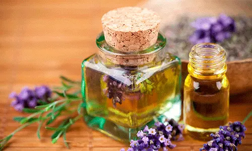 روغن اسطوخودوس