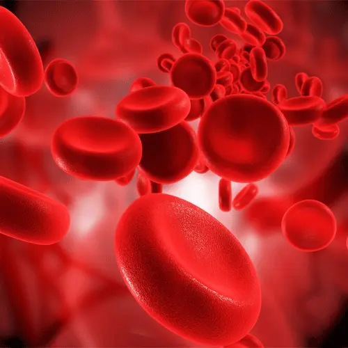 گلبول های قرمز در خون برای وبلاگ درمان کم خونی