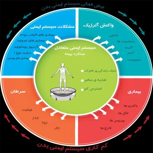 آمار بیماری ها برای تقویت سیستم ایمنی بدن